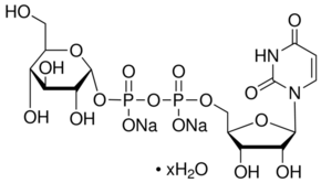 Uridine 5′-diphosphoglucose disodium salt CAS 28053-08-9 Uridine 5′-diphosphoglucose disodium salt CAS 28053-08-9