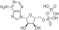 Adenosine 5′-diphosphate CAS 58-64-0 Adenosine 5′-diphosphate CAS 58-64-0