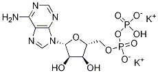 Adenosine 5′-diphosphate dipotassium salt CAS 114702-55-5