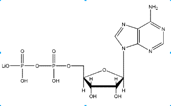 Adenosine 5′-diphosphate monolithium salt CAS NNA-0007
