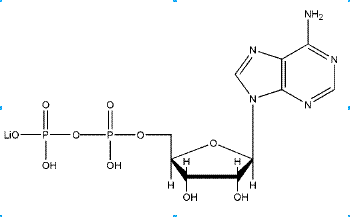 Adenosine 5′-diphosphate monolithium salt CAS NNA-0007 Adenosine 5′-diphosphate monolithium salt CAS NNA-0007