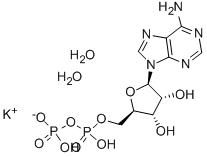 Adenosine 5′-diphosphate monopotassium salt CAS 72696-48-1 Adenosine 5′-diphosphate monopotassium salt CAS 72696-48-1