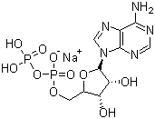 Adenosine 5′-diphosphate monosodium salt CAS 20398-34-9 Adenosine 5′-diphosphate monosodium salt CAS 20398-34-9