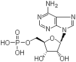Adenosine 5′-monophosphate CAS 61-19-8 Adenosine 5′-monophosphate CAS 61-19-8