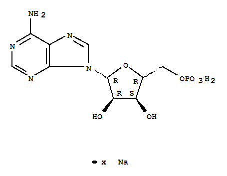 Adenosine 5′-monophosphate monosodium salt CAS 13474-03-8 Adenosine 5′-monophosphate monosodium salt CAS 13474-03-8