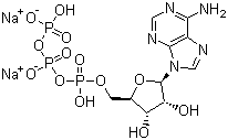 Adenosine 5′-triphosphate disodium salt CAS 987-65-5 Adenosine 5′-triphosphate disodium salt CAS 987-65-5