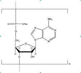 Polyadenosinic acid sodium  salt CAS NNA-0003