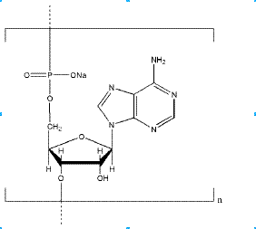 Polyadenosinic acid sodium salt CAS NNA-0003 Polyadenosinic acid sodium salt CAS NNA-0003