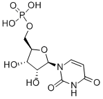 Uridine 5′-monophosphate CAS 58-97-9
