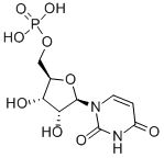 Uridine 5′-monophosphate CAS 58-97-9 Uridine 5′-monophosphate CAS 58-97-9