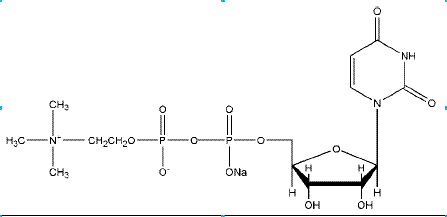Uridine diphosphate Choline sodium salt CAS NNA-0002
