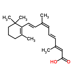 Pancreatin CAS 8049-47-6 Pancreatin CAS 8049-47-6