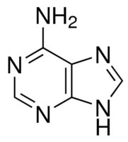 Adenine CAS 73-24-5 Adenine CAS 73-24-5