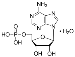 Adenosine 5′-monophosphate CAS 61-19-8 Adenosine 5′-monophosphate CAS 61-19-8