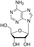 Adenosine CAS 58-61-7 Adenosine CAS 58-61-7