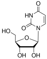 Uridine CAS 58-96-8