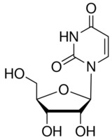 Uridine CAS 58-96-8 Uridine CAS 58-96-8