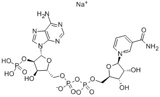 NADP-Na CAS 1184-16-3 NADP-Na CAS 1184-16-3