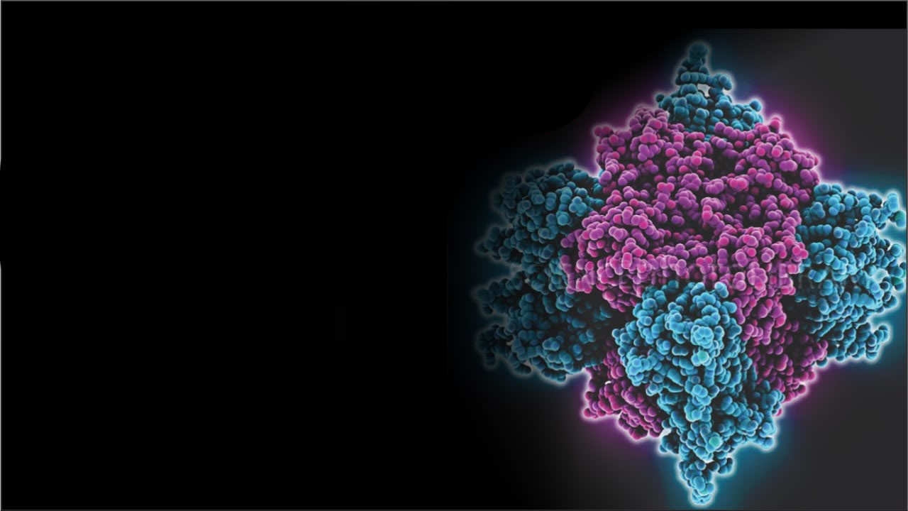 Home - ULCHO - Expert in Carbohydrate, Nucleotide, Nucleoside and Ionic