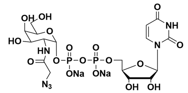 UDP-GalNAz.2Na CAS 653600-61-4 UDP-GalNAz.2Na CAS 653600-61-4