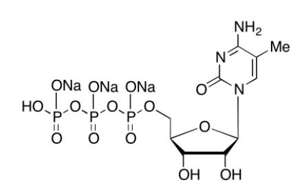 5-Methylcytidine 5′-Triphosphate (CPT) Trisodium Salt CAS 327174-86-7 5-Methylcytidine 5′-Triphosphate (CPT) Trisodium Salt CAS 327174-86-7