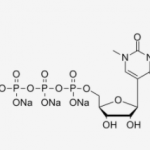 N1-methyl-pseudouridine 5′-triphosphate (UTP), trisodium salt Solution CAS UENA-0196