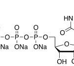 Uridine-5′-triphosphate Sodium Salt CAS 1175-34-4