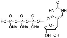 Uridine-5′-triphosphate Sodium Salt CAS 1175-34-4 Uridine-5′-triphosphate Sodium Salt CAS 1175-34-4
