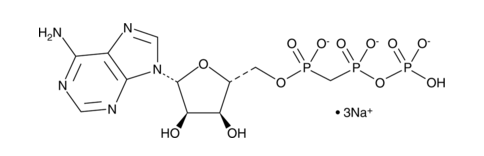 alpha,beta-methylene Adenosine 5′-triphosphate (sodium salt) CAS 1343364-54-4 alpha,beta-methylene Adenosine 5′-triphosphate (sodium salt) CAS 1343364-54-4