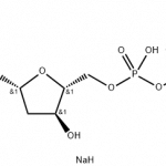 2′-Deoxyadenosine-5′-triphosphate Trisodium Salt CAS 54680-12-5