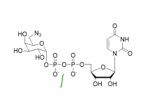 UDP-6-azido-6-deoxy-D-Gal.2Na CAS 868208-96-2