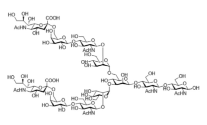 Sialylglycopeptide CAS 67299-24-5 Sialylglycopeptide CAS 67299-24-5