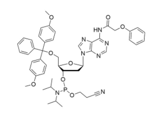 DMT-dA(PAc) Phosphoramidite CAS 110543-74-3 DMT-dA(PAc) Phosphoramidite CAS 110543-74-3
