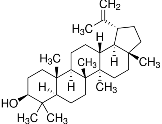 Fagarsterol CAS 545-47-1 Fagarsterol CAS 545-47-1