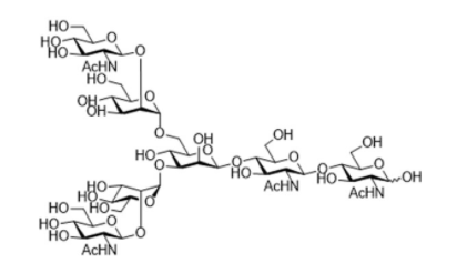 NGA2 N-Glycan CAS 84808-02-6 NGA2 N-Glycan CAS 84808-02-6