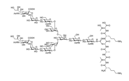 Sialylglycopeptide CAS 189035-43-6 Sialylglycopeptide CAS 189035-43-6