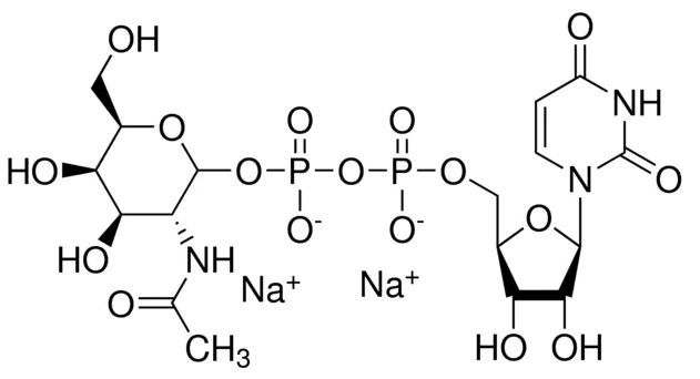 UDP-GalNAc.2Na CAS 108320-87-2(7277-98-7) UDP-GalNAc.2Na CAS 108320-87-2(7277-98-7)