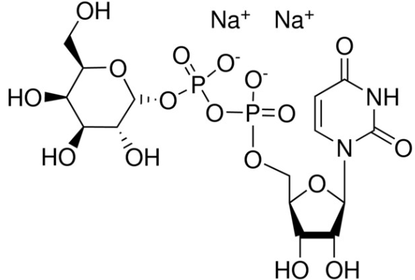 Uridine 5′-diphospho-D-galactose disodium salt CAS 137868-52-1(2956-16-3) Uridine 5′-diphospho-D-galactose disodium salt CAS 137868-52-1(2956-16-3)