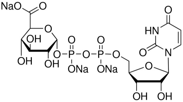 Uridine 5′-diphospho-glucuronic acid trisodium salt CAS 63700-19-6 Uridine 5′-diphospho-glucuronic acid trisodium salt CAS 63700-19-6