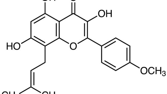 Icariin CAS 118525-40-9 Icariin CAS 118525-40-9