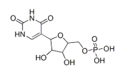 Pseudouridine 5′-monophosphate CAS 1157-60-4 Pseudouridine 5′-monophosphate CAS 1157-60-4