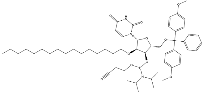 structure of DMTr-2'-O-C16-rU-3'-CE-Phosphoramidite CAS 2382942-83-6