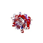 CMP-sialic acid synthase; NmCSS CAS#: 9067-82-7 EC#: 2.7.7.43